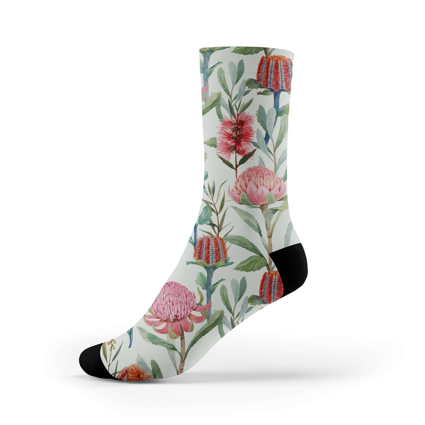 Protea Sokkie